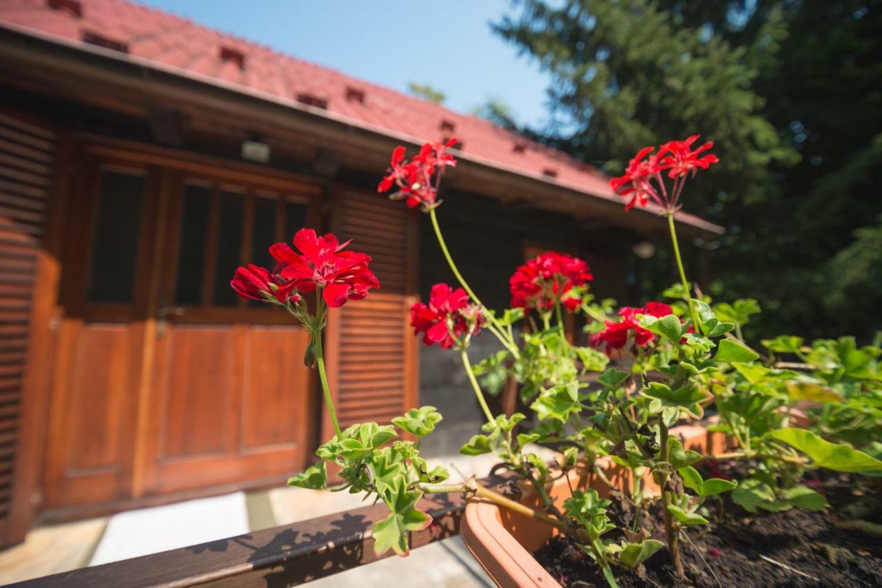 Cabin In The Woods Vukelic Stubicke Toplice Ngoại thất bức ảnh